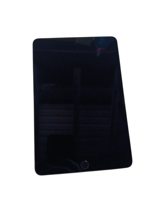 Apple iPad Mini 5th Gen - 256GB - Space Gray (A2133)