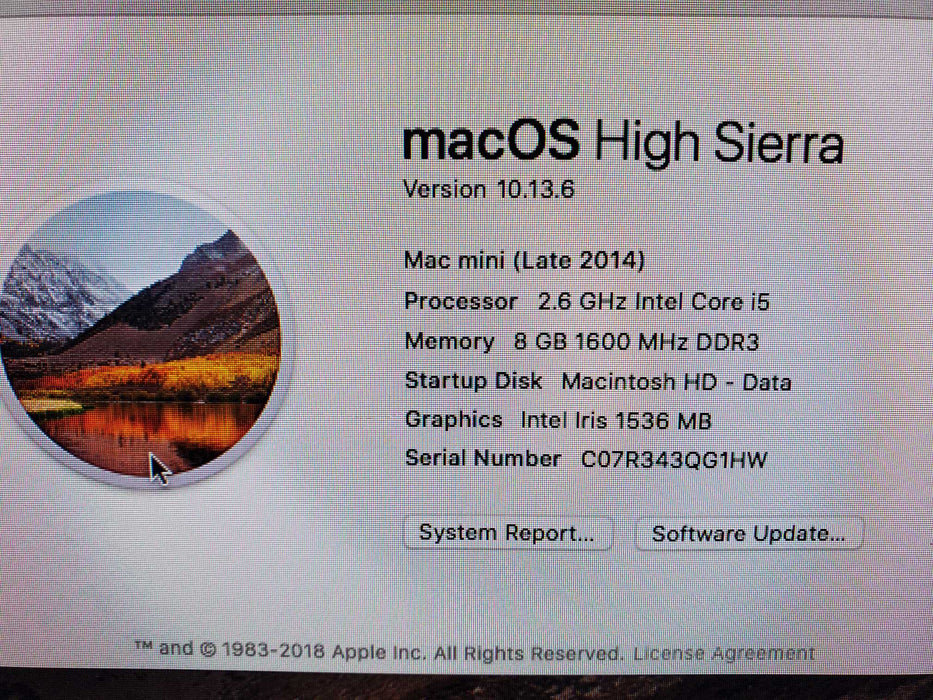 Apple Mac Mini A1347 Intel Core i5 8GB RAM 1TB HDD 2014