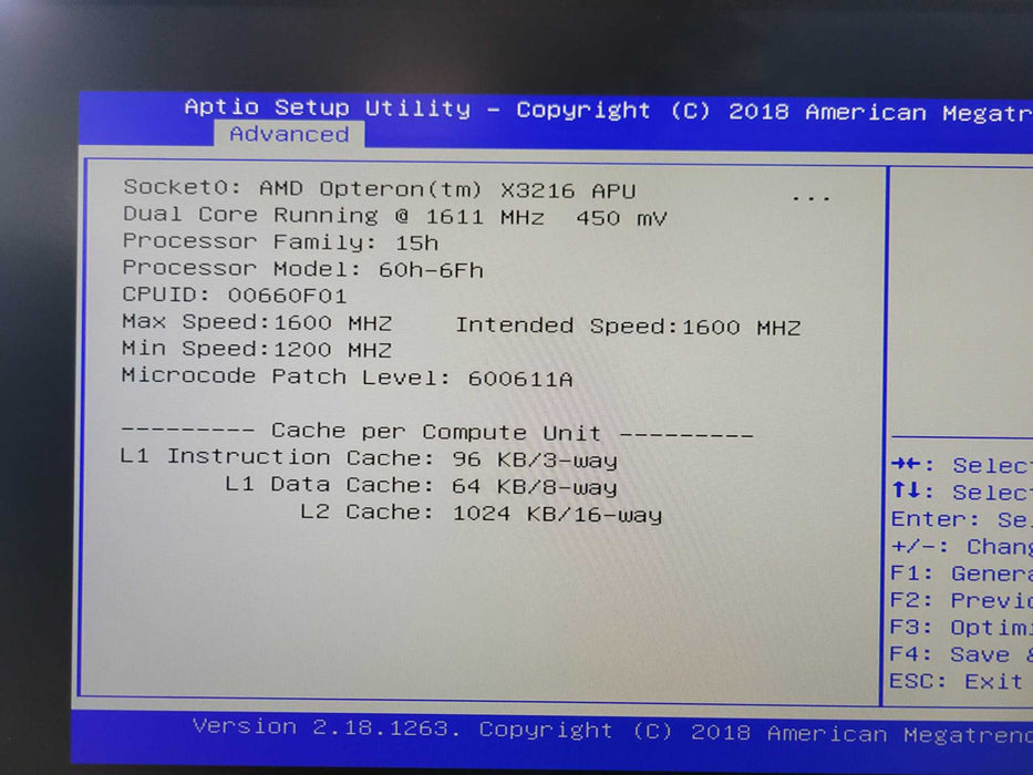 HPE ProLiant MicroServer Gen10 AMD Opteron X3216 1.6GHz CPU 16GB RAM  _