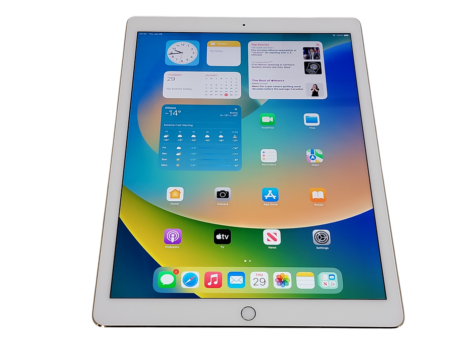 Apple iPad Pro 1st Gen - 256GB - Gold [A1652] (