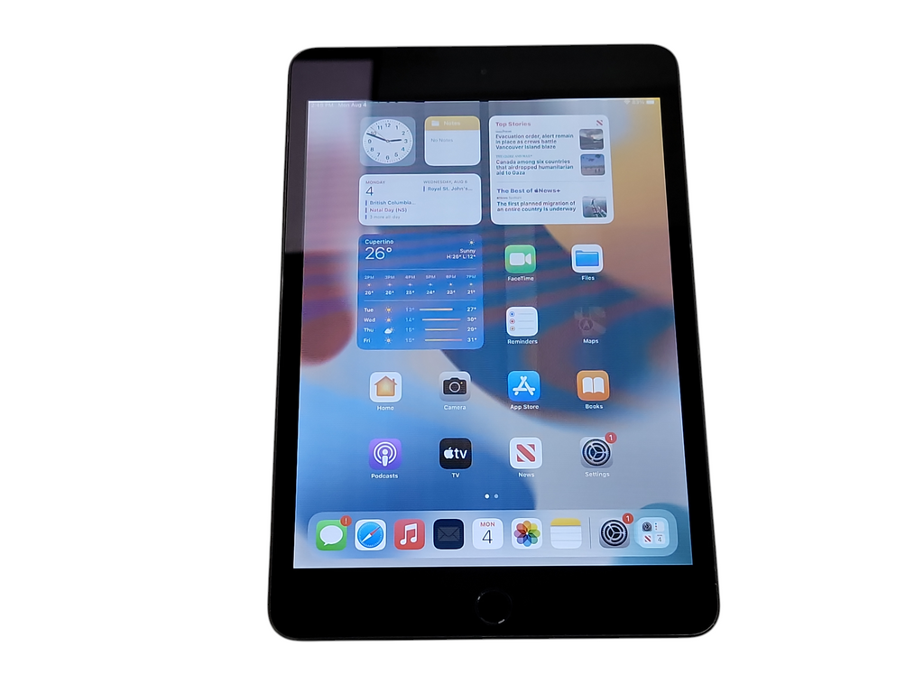 (はぐれ)iPad mini 5 Apple iPad Mini 5th Gen - 64GB - Space Gray [A2133 | Read