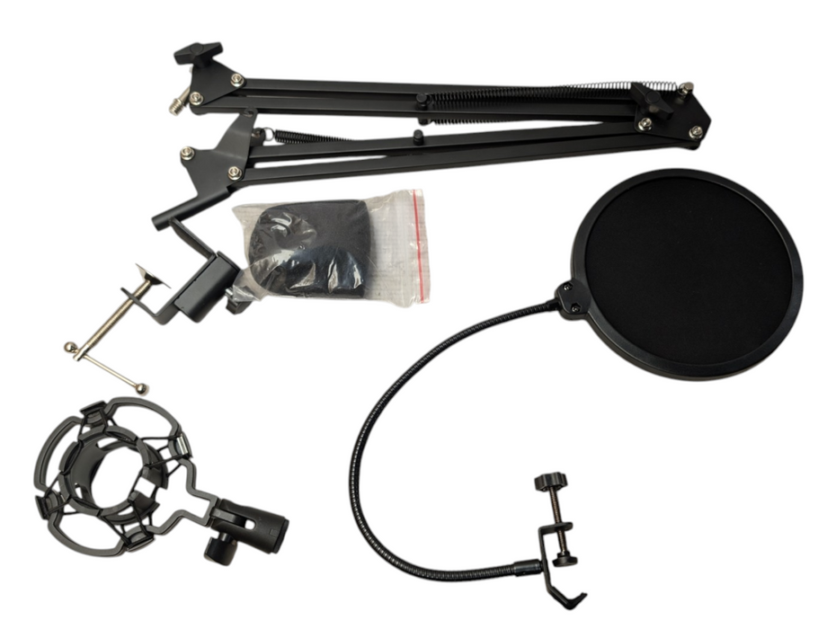 Professional Broadcasting & Recording Microphone Setup  -