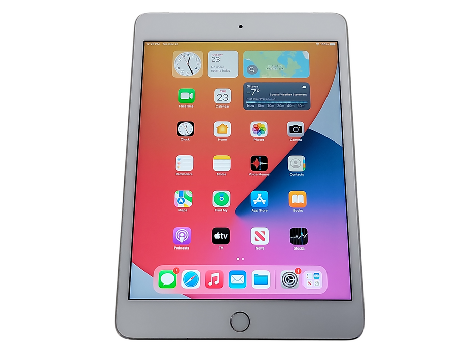 Apple iPad Mini 4th Gen - 128GB - Silver [A1550] (
