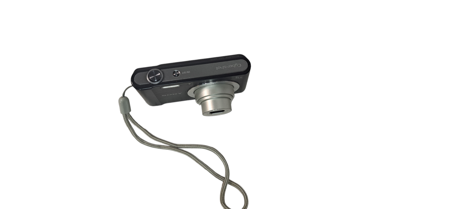 Sony Cyber-shot DSC-W800 20.1 MP 5x Optical Zoom Digital Camera