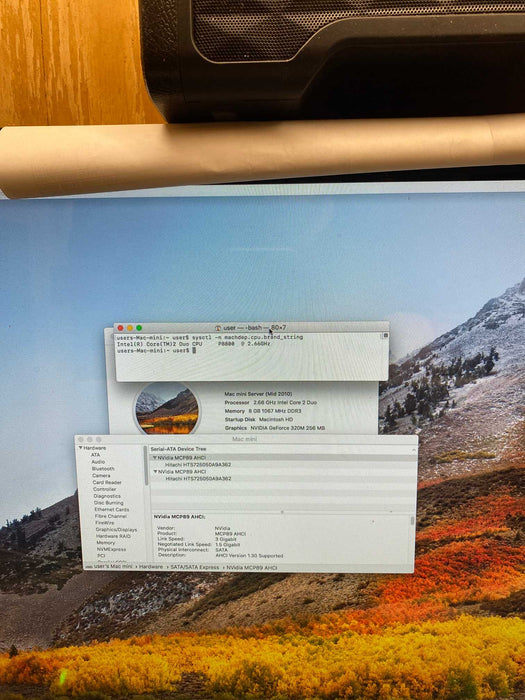 Apple Mac Mini server Mid 2010 C2D P8800 GeForce 320M 8GB RAM 2x500GB HDD
