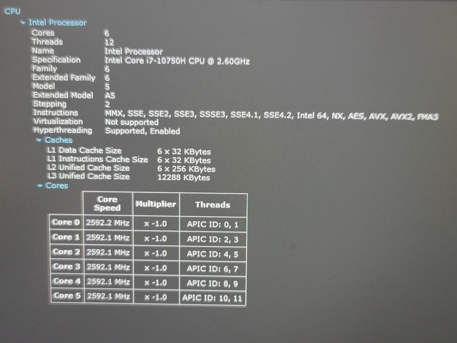 MSI GF75 Thin i7-10750H 32GB DDR4 RTX 3060 256GB NVMe β Lap200
