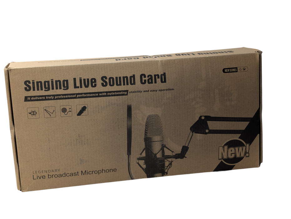 Professional Broadcasting & Recording Microphone Setup  -