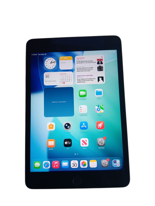 Apple iPad Mini 5th Gen - 64GB - Space Gray [A2133] Read