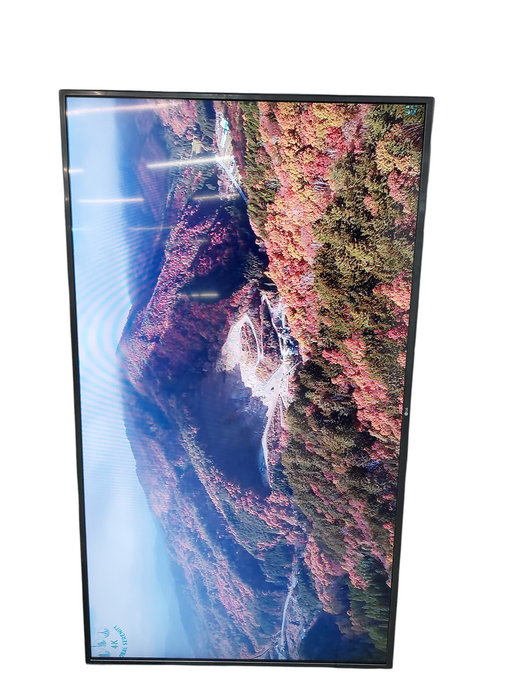 LG 55" TV Model: 55LW340C =