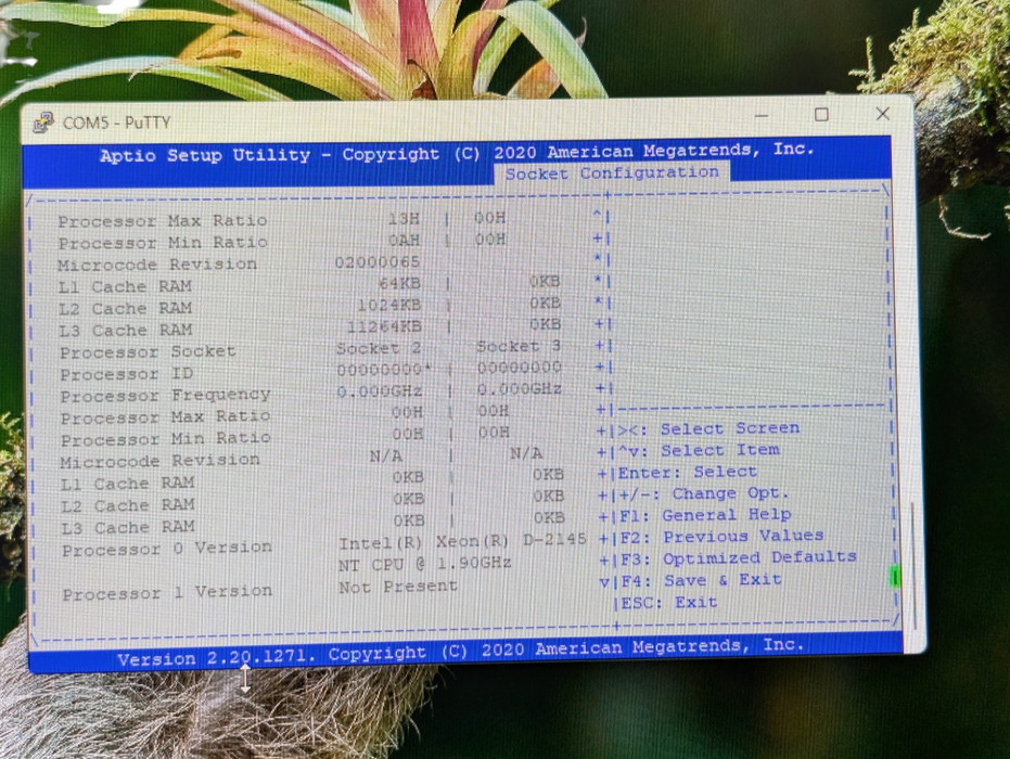 DELL EMC VEP4600 Xeon D-2145 8GB RAM 256GB SSD  -