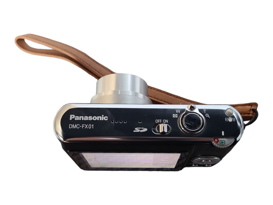 PANASONIC LUMIX DMC-FX01 Digital Camera w/ Battery, Case, Battery Charger