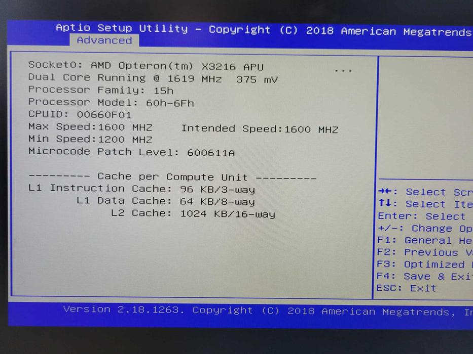 HPE ProLiant MicroServer Gen10 AMD Opteron X3216 1.6GHz CPU 8GB RAM  _