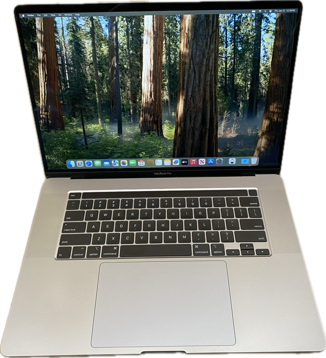Apple MacBook Pro 16 2019 i7-9750H Radeon Pro 5300M 16GB RAM 512GB SSD READ