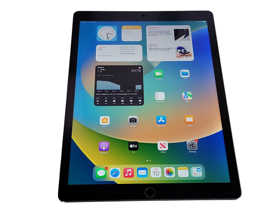 Apple iPad Pro 1st Gen 12.9" - 256GB - Space Gray [A1652] (